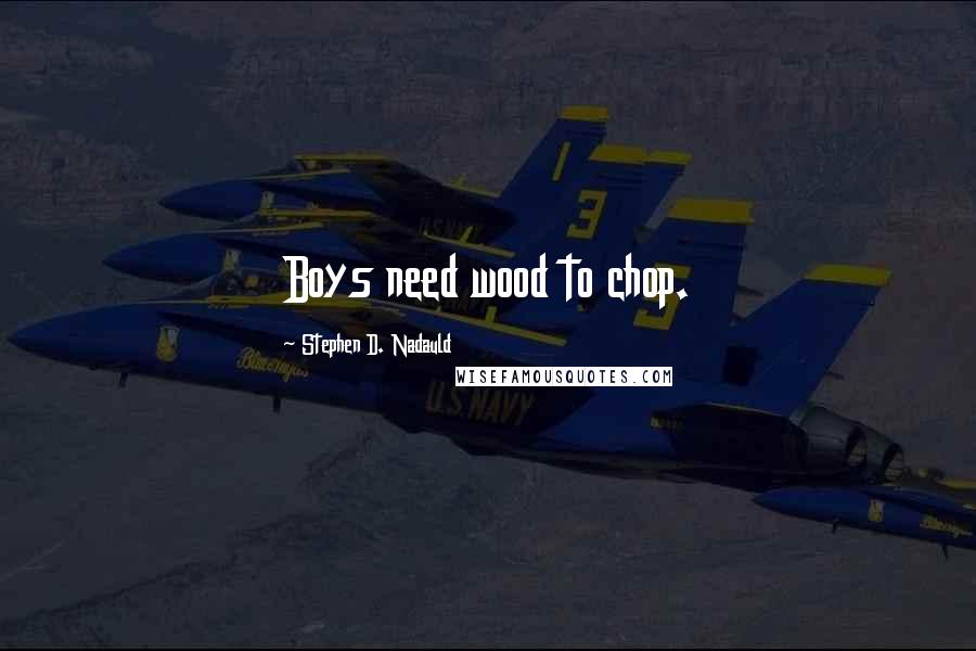 Stephen D. Nadauld Quotes: Boys need wood to chop.