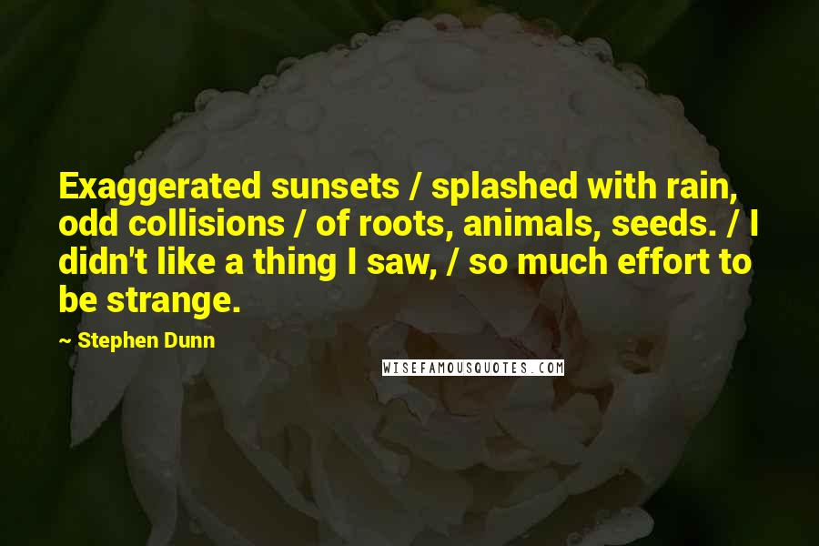 Stephen Dunn Quotes: Exaggerated sunsets / splashed with rain, odd collisions / of roots, animals, seeds. / I didn't like a thing I saw, / so much effort to be strange.