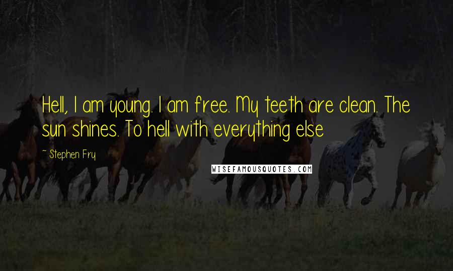Stephen Fry Quotes: Hell, I am young. I am free. My teeth are clean. The sun shines. To hell with everything else