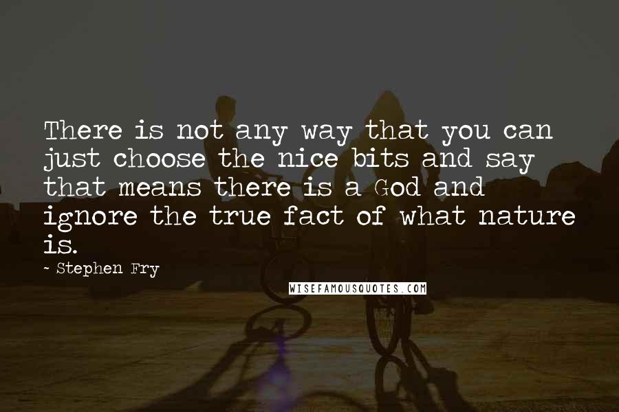 Stephen Fry Quotes: There is not any way that you can just choose the nice bits and say that means there is a God and ignore the true fact of what nature is.