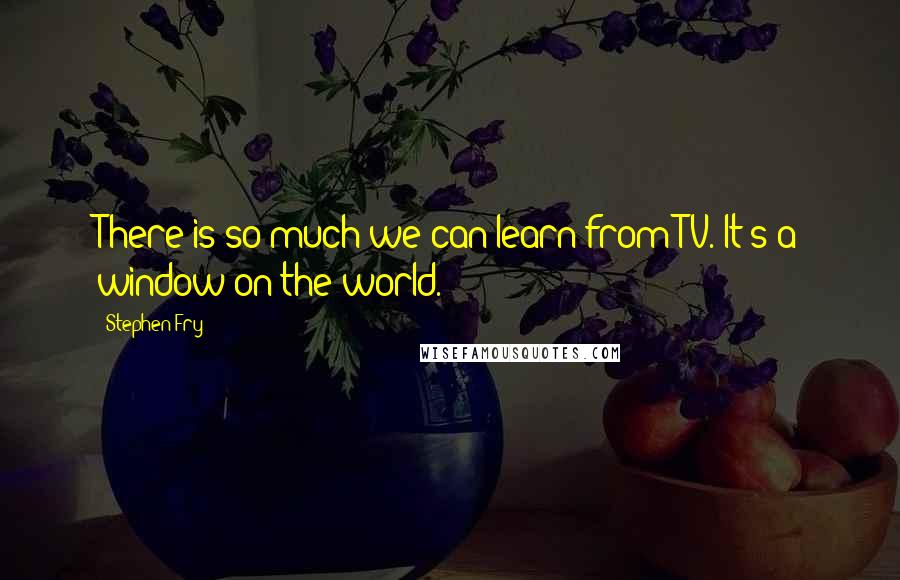 Stephen Fry Quotes: There is so much we can learn from TV. It's a window on the world.