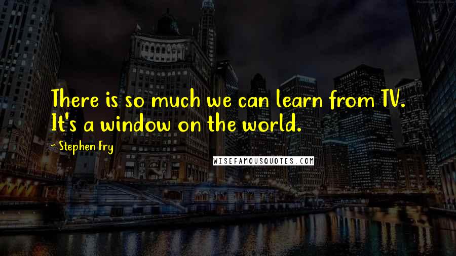 Stephen Fry Quotes: There is so much we can learn from TV. It's a window on the world.