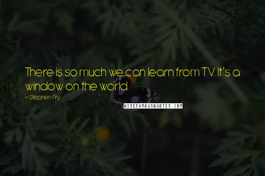 Stephen Fry Quotes: There is so much we can learn from TV. It's a window on the world.