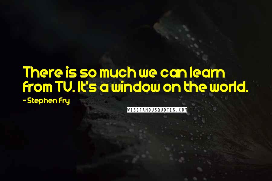 Stephen Fry Quotes: There is so much we can learn from TV. It's a window on the world.