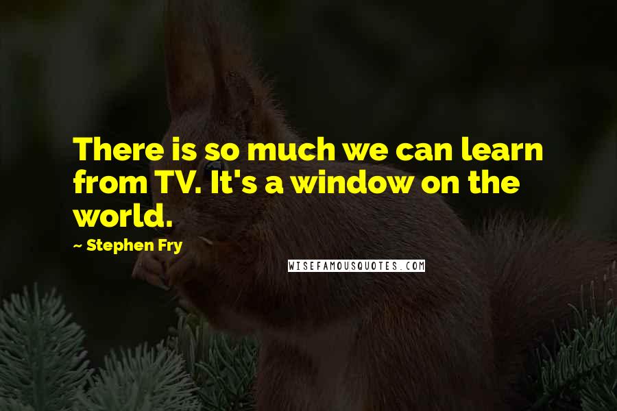 Stephen Fry Quotes: There is so much we can learn from TV. It's a window on the world.