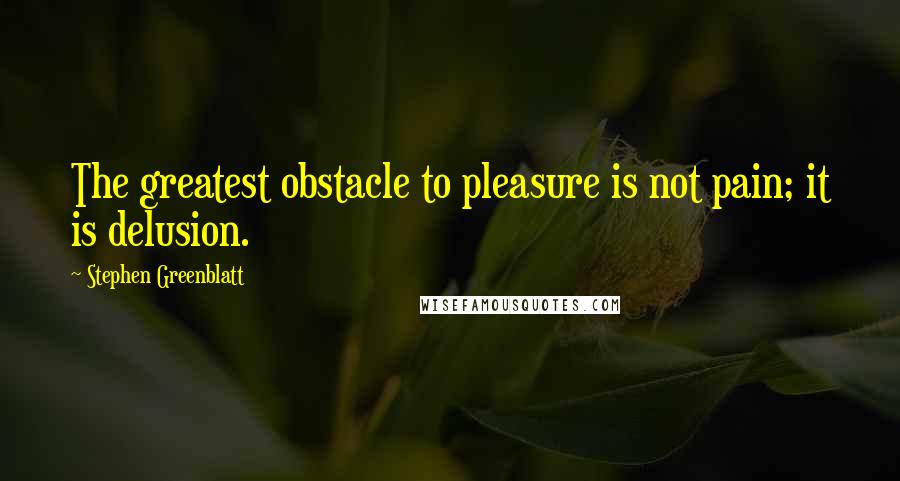 Stephen Greenblatt Quotes: The greatest obstacle to pleasure is not pain; it is delusion.