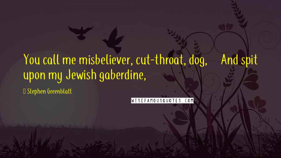 Stephen Greenblatt Quotes: You call me misbeliever, cut-throat, dog,     And spit upon my Jewish gaberdine,