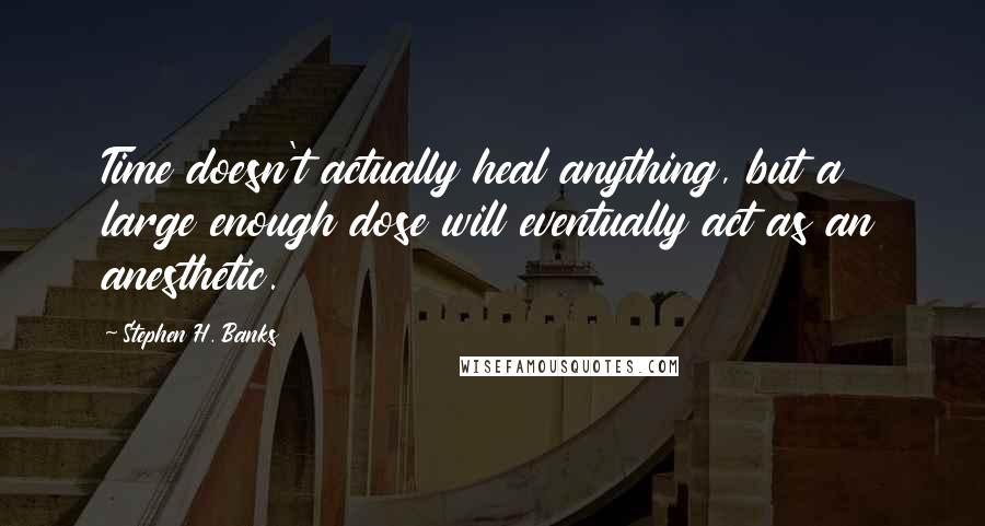 Stephen H. Banks Quotes: Time doesn't actually heal anything, but a large enough dose will eventually act as an anesthetic.