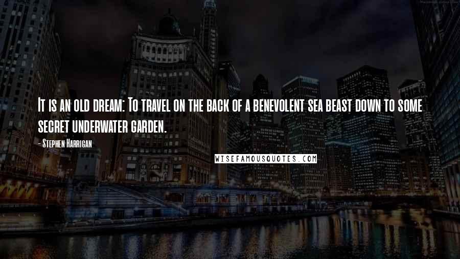 Stephen Harrigan Quotes: It is an old dream: To travel on the back of a benevolent sea beast down to some secret underwater garden.