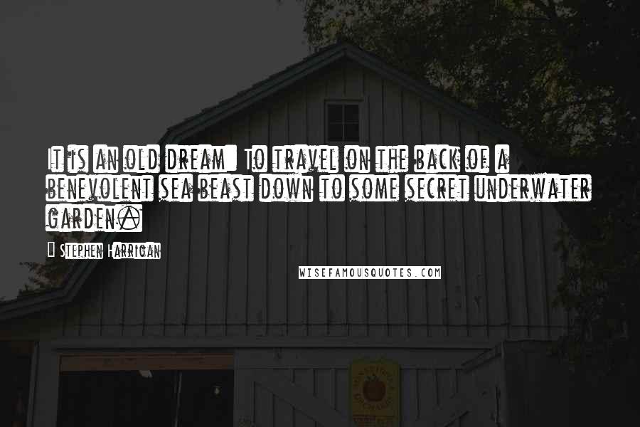 Stephen Harrigan Quotes: It is an old dream: To travel on the back of a benevolent sea beast down to some secret underwater garden.