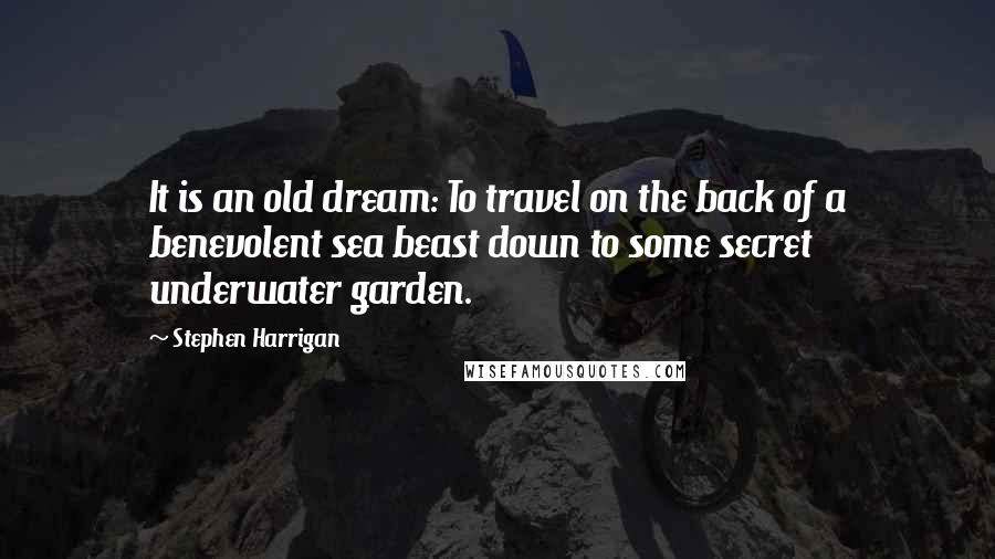 Stephen Harrigan Quotes: It is an old dream: To travel on the back of a benevolent sea beast down to some secret underwater garden.