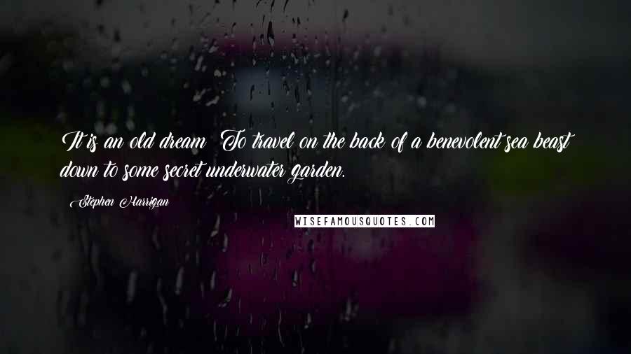 Stephen Harrigan Quotes: It is an old dream: To travel on the back of a benevolent sea beast down to some secret underwater garden.