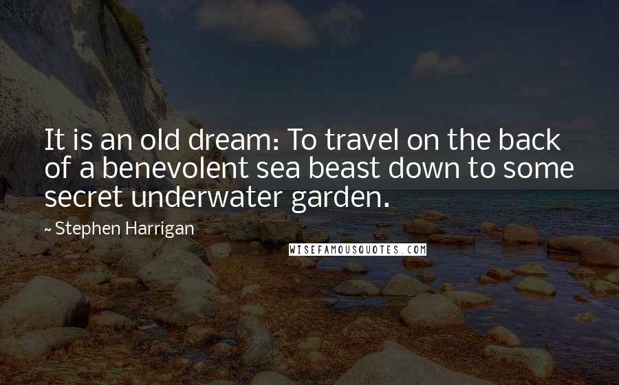 Stephen Harrigan Quotes: It is an old dream: To travel on the back of a benevolent sea beast down to some secret underwater garden.