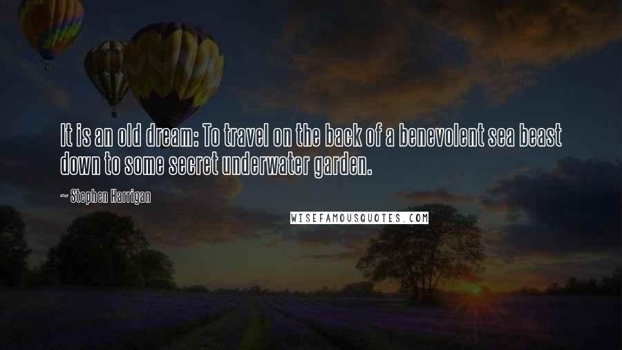 Stephen Harrigan Quotes: It is an old dream: To travel on the back of a benevolent sea beast down to some secret underwater garden.