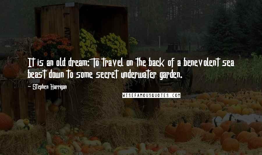 Stephen Harrigan Quotes: It is an old dream: To travel on the back of a benevolent sea beast down to some secret underwater garden.