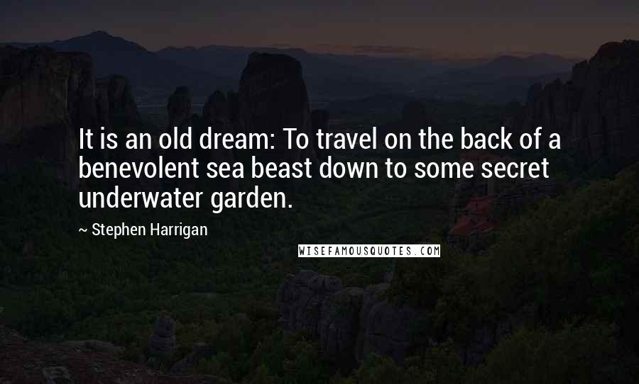 Stephen Harrigan Quotes: It is an old dream: To travel on the back of a benevolent sea beast down to some secret underwater garden.