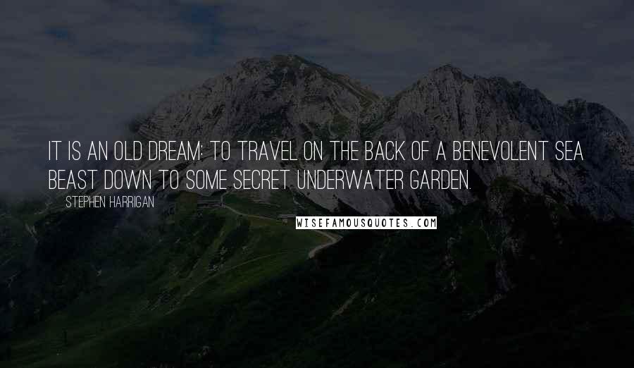 Stephen Harrigan Quotes: It is an old dream: To travel on the back of a benevolent sea beast down to some secret underwater garden.