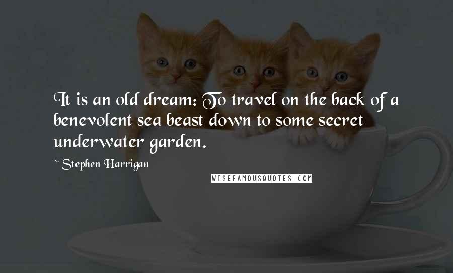 Stephen Harrigan Quotes: It is an old dream: To travel on the back of a benevolent sea beast down to some secret underwater garden.