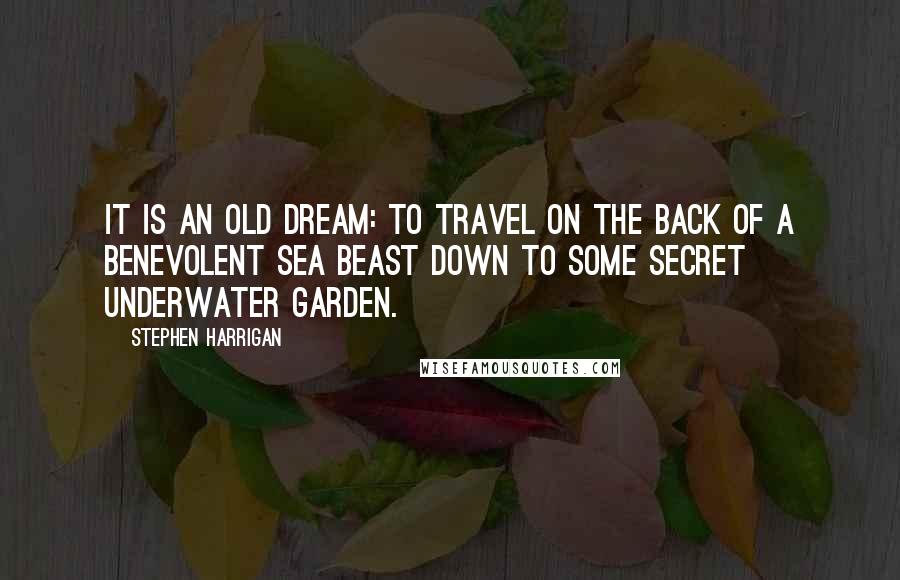 Stephen Harrigan Quotes: It is an old dream: To travel on the back of a benevolent sea beast down to some secret underwater garden.