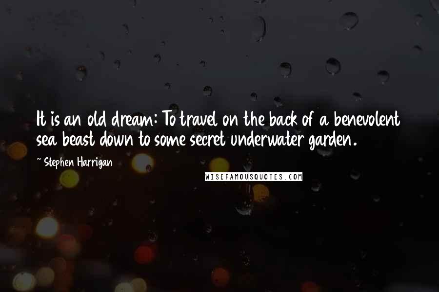 Stephen Harrigan Quotes: It is an old dream: To travel on the back of a benevolent sea beast down to some secret underwater garden.