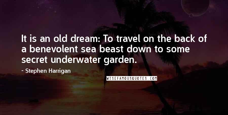 Stephen Harrigan Quotes: It is an old dream: To travel on the back of a benevolent sea beast down to some secret underwater garden.
