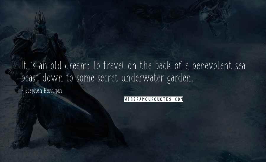 Stephen Harrigan Quotes: It is an old dream: To travel on the back of a benevolent sea beast down to some secret underwater garden.