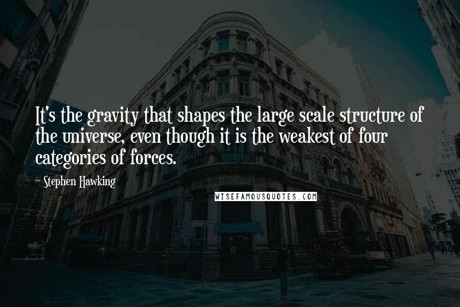 Stephen Hawking Quotes: It's the gravity that shapes the large scale structure of the universe, even though it is the weakest of four categories of forces.