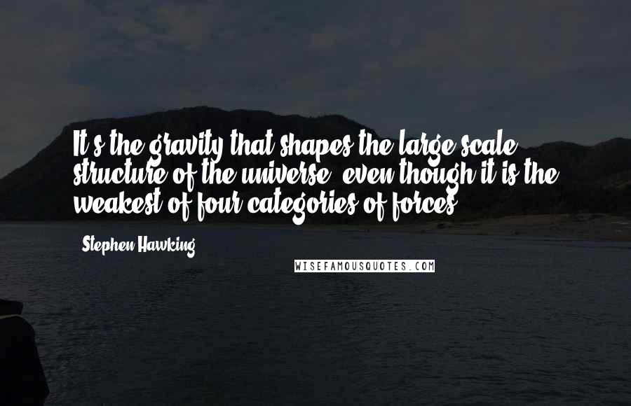 Stephen Hawking Quotes: It's the gravity that shapes the large scale structure of the universe, even though it is the weakest of four categories of forces.