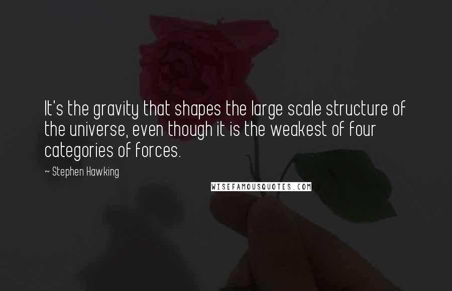 Stephen Hawking Quotes: It's the gravity that shapes the large scale structure of the universe, even though it is the weakest of four categories of forces.