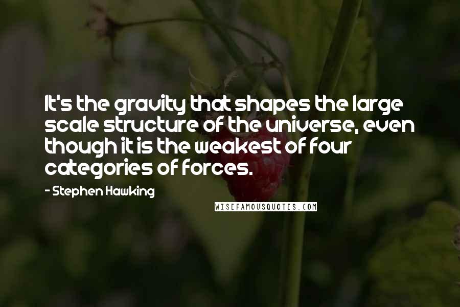 Stephen Hawking Quotes: It's the gravity that shapes the large scale structure of the universe, even though it is the weakest of four categories of forces.