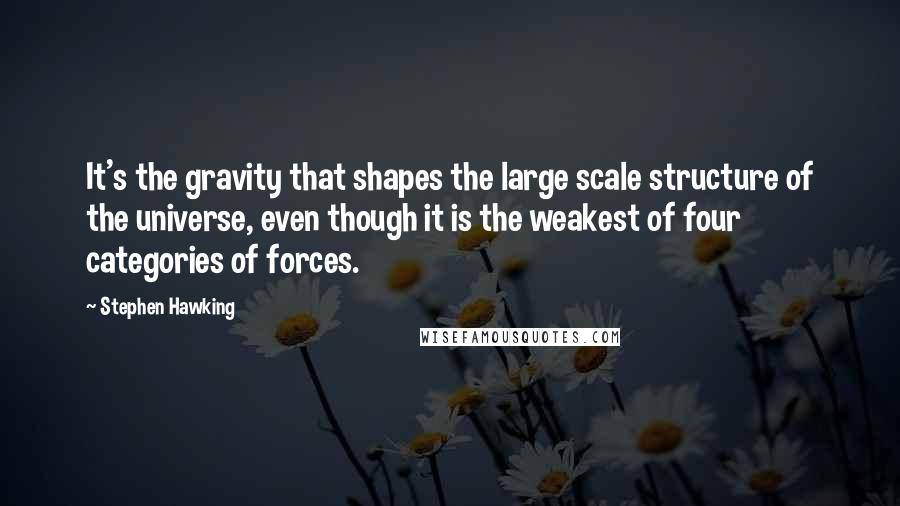 Stephen Hawking Quotes: It's the gravity that shapes the large scale structure of the universe, even though it is the weakest of four categories of forces.