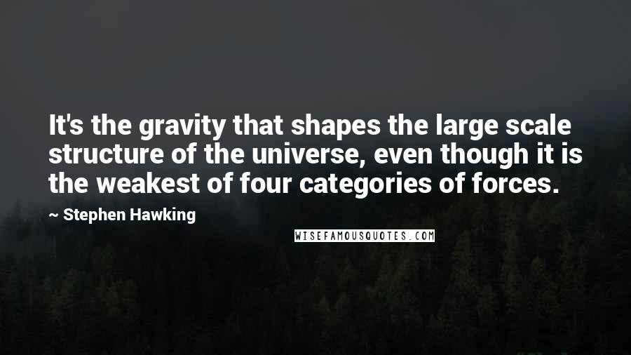 Stephen Hawking Quotes: It's the gravity that shapes the large scale structure of the universe, even though it is the weakest of four categories of forces.