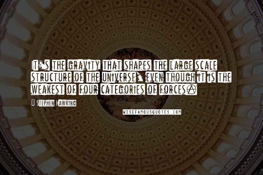 Stephen Hawking Quotes: It's the gravity that shapes the large scale structure of the universe, even though it is the weakest of four categories of forces.