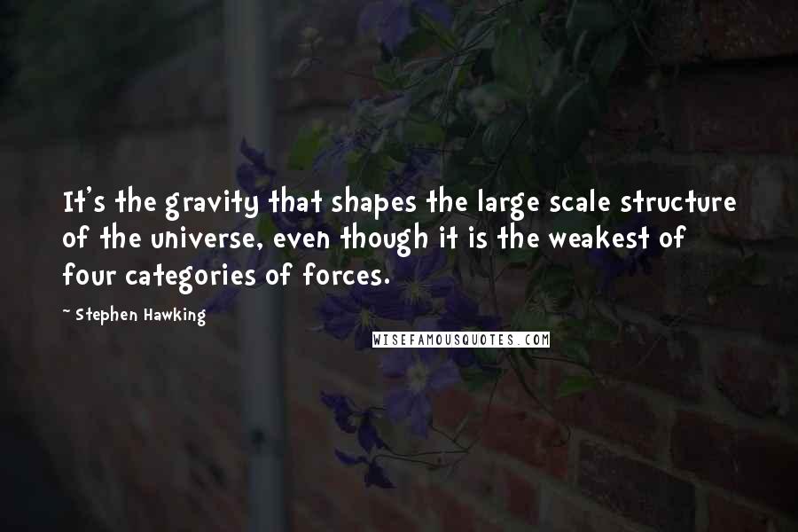 Stephen Hawking Quotes: It's the gravity that shapes the large scale structure of the universe, even though it is the weakest of four categories of forces.