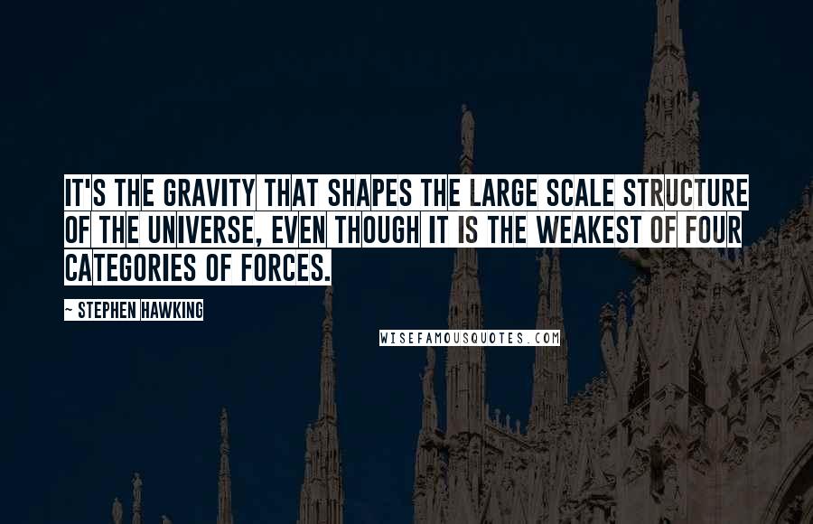 Stephen Hawking Quotes: It's the gravity that shapes the large scale structure of the universe, even though it is the weakest of four categories of forces.