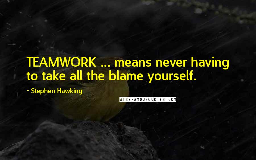 Stephen Hawking Quotes: TEAMWORK ... means never having to take all the blame yourself.