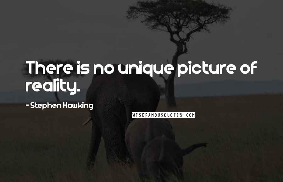 Stephen Hawking Quotes: There is no unique picture of reality.