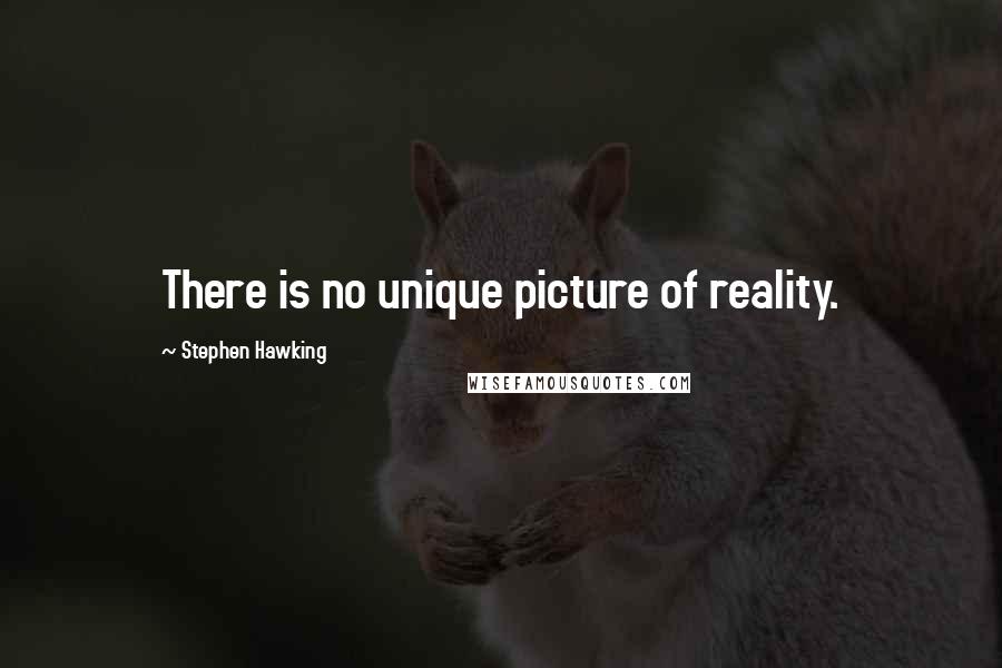 Stephen Hawking Quotes: There is no unique picture of reality.