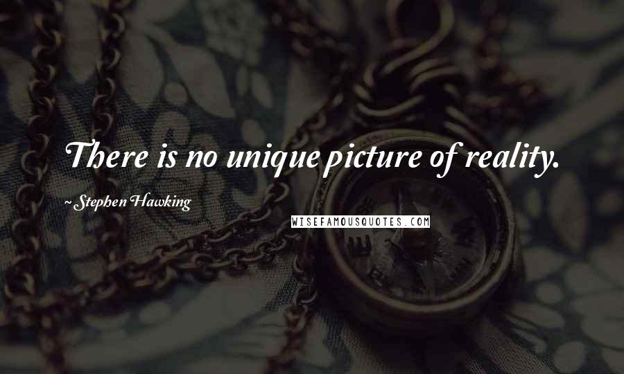 Stephen Hawking Quotes: There is no unique picture of reality.
