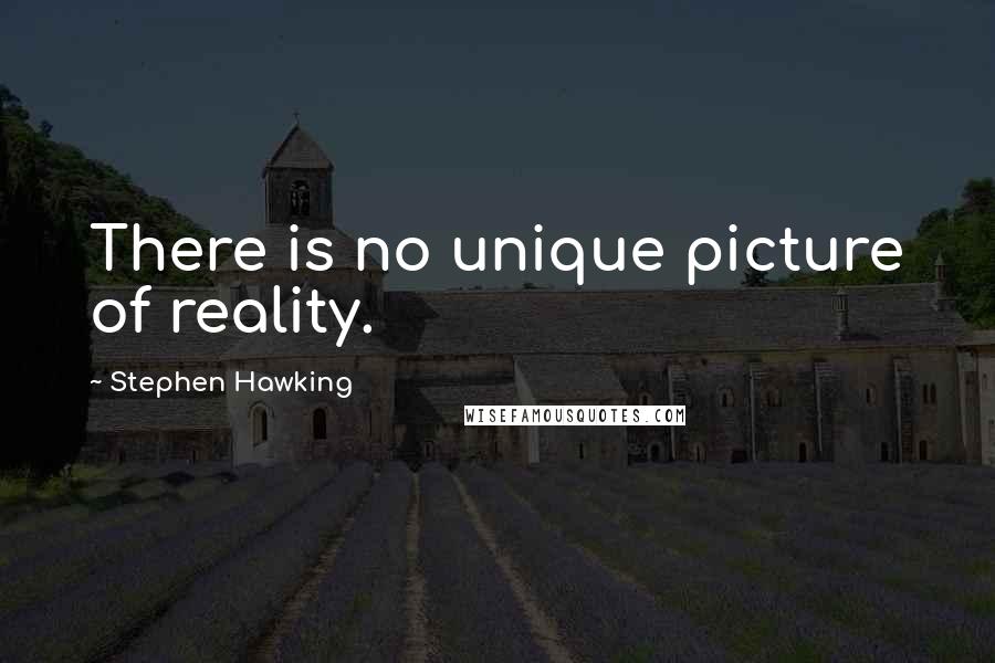 Stephen Hawking Quotes: There is no unique picture of reality.