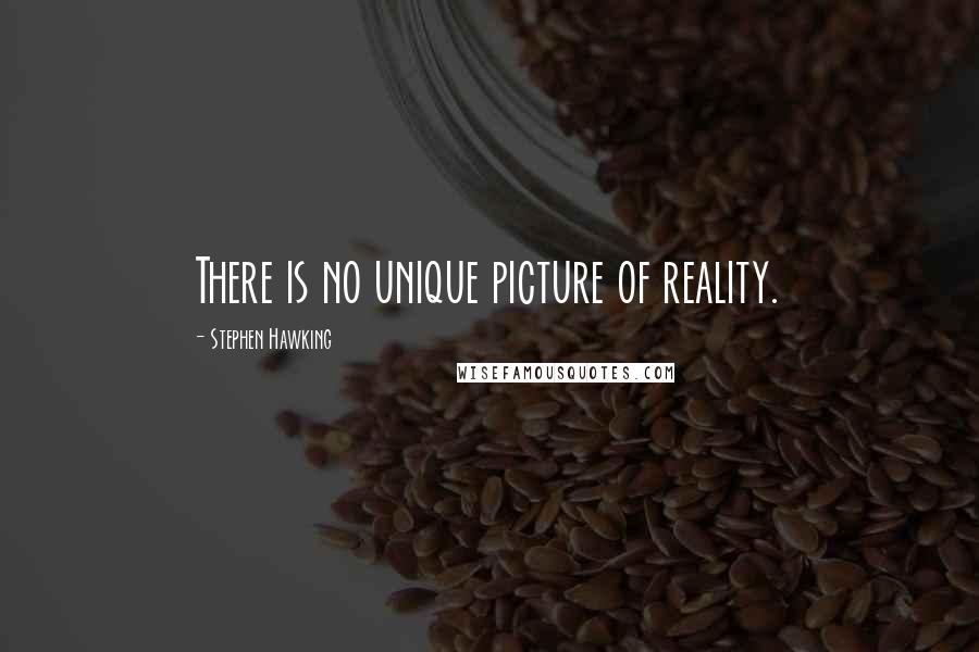 Stephen Hawking Quotes: There is no unique picture of reality.