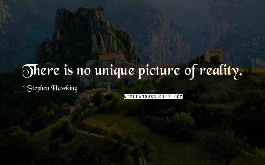 Stephen Hawking Quotes: There is no unique picture of reality.