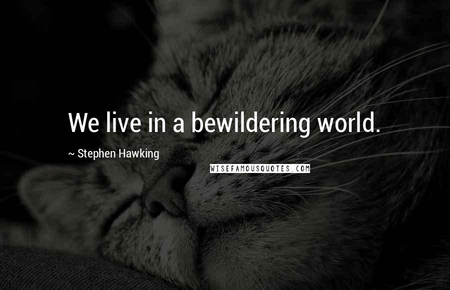 Stephen Hawking Quotes: We live in a bewildering world.