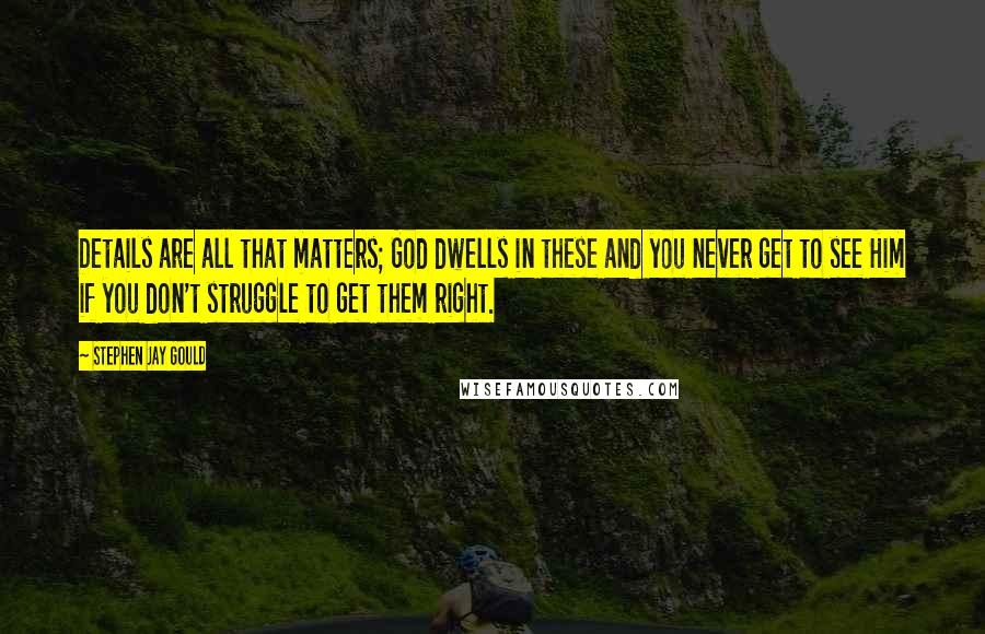 Stephen Jay Gould Quotes: Details are all that matters; God dwells in these and you never get to see Him if you don't struggle to get them right.