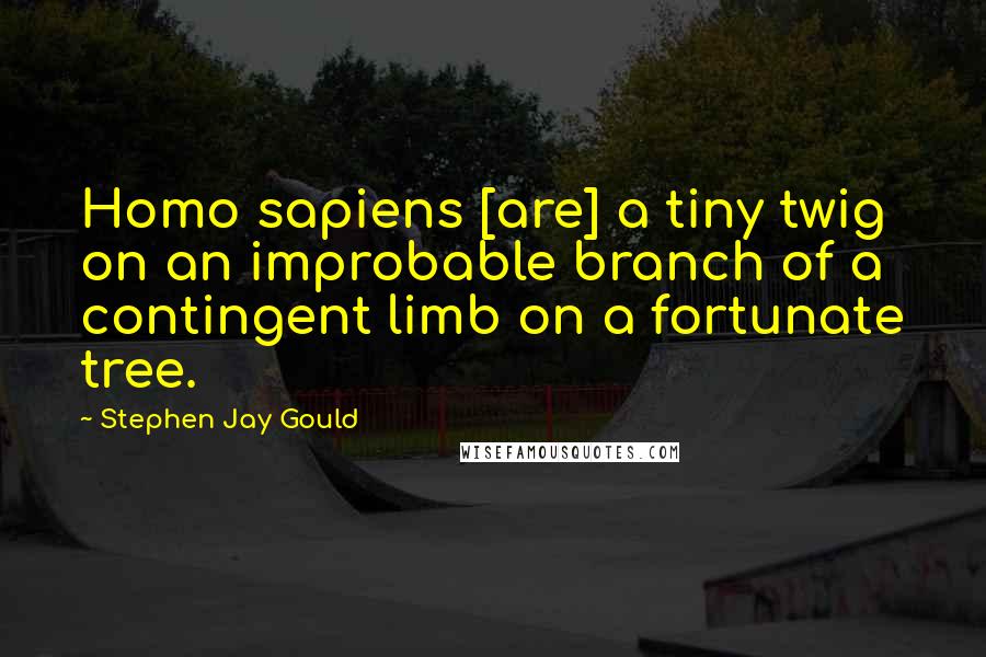 Stephen Jay Gould Quotes: Homo sapiens [are] a tiny twig on an improbable branch of a contingent limb on a fortunate tree.