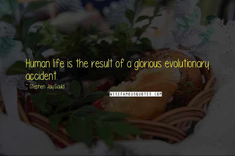 Stephen Jay Gould Quotes: Human life is the result of a glorious evolutionary accident.