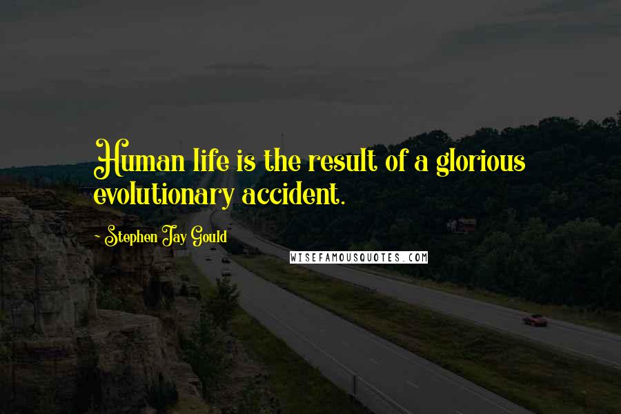 Stephen Jay Gould Quotes: Human life is the result of a glorious evolutionary accident.
