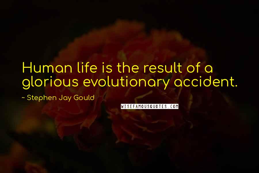 Stephen Jay Gould Quotes: Human life is the result of a glorious evolutionary accident.