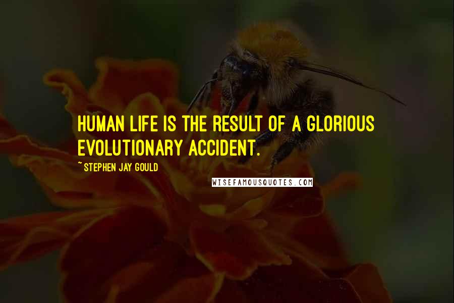 Stephen Jay Gould Quotes: Human life is the result of a glorious evolutionary accident.