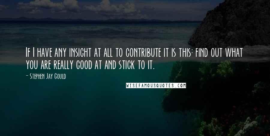 Stephen Jay Gould Quotes: If I have any insight at all to contribute it is this: find out what you are really good at and stick to it.